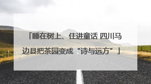睡在树上、住进童话 四川马边县把茶园变成“诗与远方”